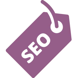 Top Search Queries