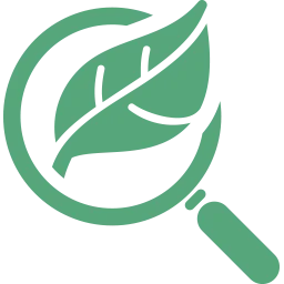 Keyword Research